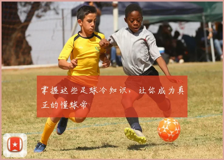 掌握这些足球冷知识，让你成为真正的懂球帝